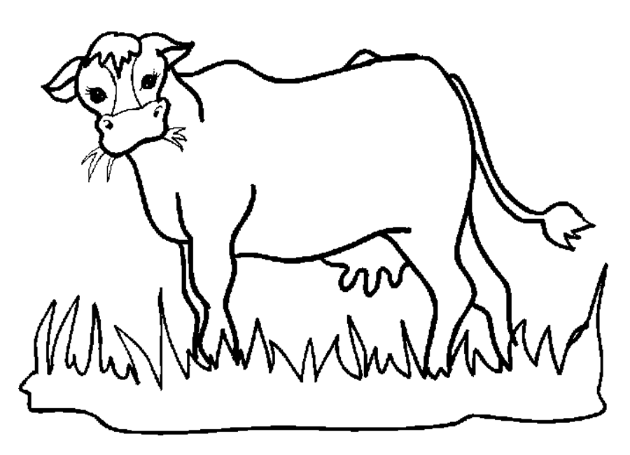 imagini de colorat vaca vitel taur